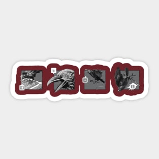 Social Raven Story Sticker